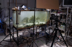 likeafieldmouse:  Kim Keever “Miniature topographies inside 200-gallon fish tanks, based on traditional landscape paintings. Keever fills the tanks with water once he’s sculpted and placed the miniatures, and colored lights and pigments create dense,