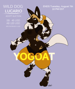 yogoat:Bidding can be done here!