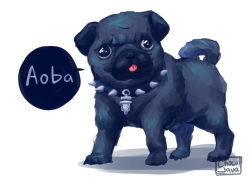 choco-java:So there was this pure black pug puppy in Uni yesterday—…