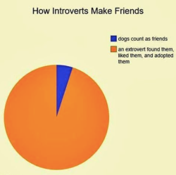 introvertunites:  If you’re an introvert, follow us @introvertunites​