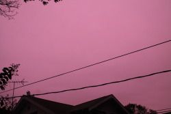 oh-pee-um:  for some beautiful reason there were pink clouds