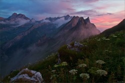 softwaring:  Alpstein Mountains in the morning Alpglow, Switzerland;