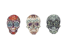 memorizes:  Transparent skulls  