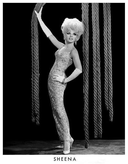 Sheena aka. “The Fantastic Savage”.. Not the Punk Rocker.. And, not that one from the Jungle..