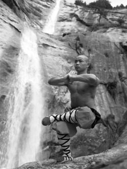 likeafieldmouse:  Tomasz Gudzowaty - The Monks of Shaolin (2011)