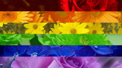 eat-sleep-and-race:I made some flags out of flowers after a friend