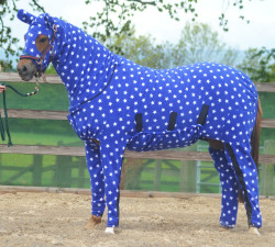 cimness:  end0skeletal:  Here are some horses (and a pony) wearing