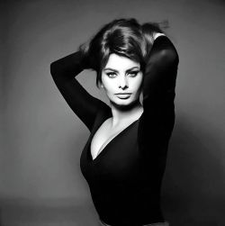 toonarmyist:  Sophia   So gorgeous