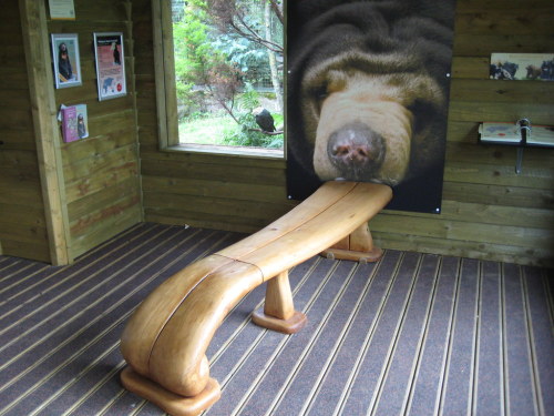 pictures-of-dogs:obsessed with this bench