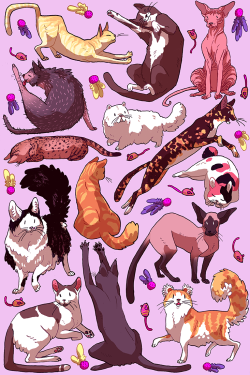 spiritdrex:  Kitties