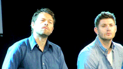 jensenacklesmishacollins:  Imagine Dean and Cas waking up as