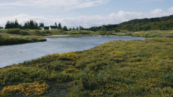 jacindaelena:   Jon Ferry || Iceland 	  	 				 					 						