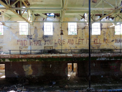 gviltyyy:  graffquotes:  Find what you love and let it kill you.
