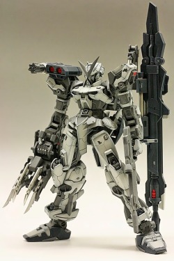 mechaddiction:  GUNDAM GUY: MG 1/100 Gundam Astray Red Frame