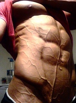 b-mac-lifts:  biglikedat:  drwannabe:  dem veins  mirin   #inspiration