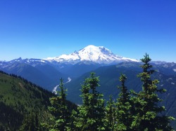 savannahzaira:  My current view of Mount Rainier (WA)  AWESOME