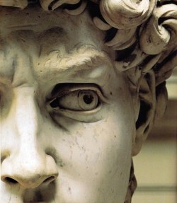 ghostlywatcher:    Details of Michelangelo’s masterpiece “David”