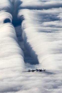 the-altar:  helghasttactician:  Tupolev Tu-95 Bear of the Военно-воздушные