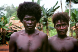 New Georgia - Solomon Islands, by Jean-Christophe Huet