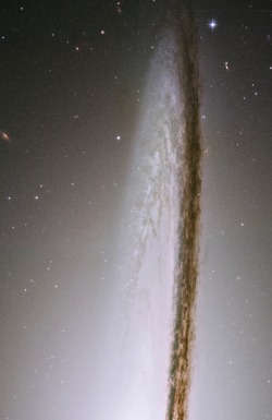 thedemon-hauntedworld:  Sombrero Galaxy Credit: NASA/Hubble 