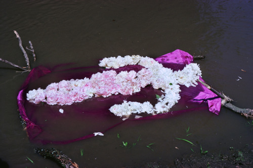 polkadotmotmot:Ana Mendieta - Flower Person, Flower Body, 1975