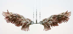 sixpenceee:  Sculpture created by Choi Xoo Ang, the Seoul born