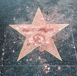 Trumps star….as it should be….Lol