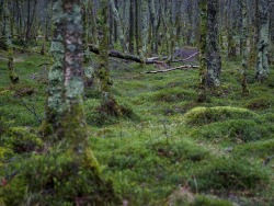 sublim-ature:Glendalough, IrelandGrzegorz Wanowicz