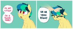 silly filly