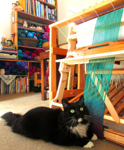 lisa-rayner:I’m almost done weaving my mermaid scarf. Pablo