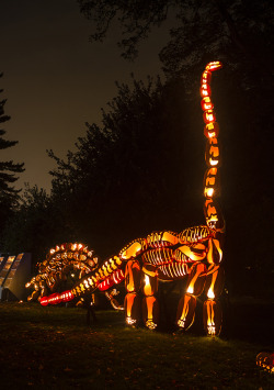 kcato0421: sixpenceee:  A brontosaurus was carved out of pumpkins. 