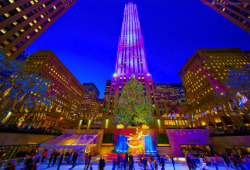 NYC’s Rock Center Christmas tree glistens and glitters at twilight