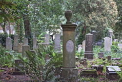 yoda-ii:   The old jewish cemetery (established in 1854) in Wrocław,