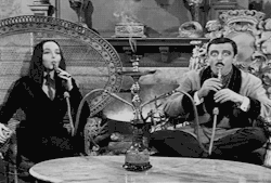 v0rpal:  see even the addams family loves to hookah