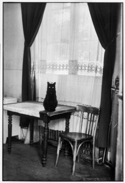 foxesinbreeches:  Henri Cartier-Bresson Paris, 1964 England,