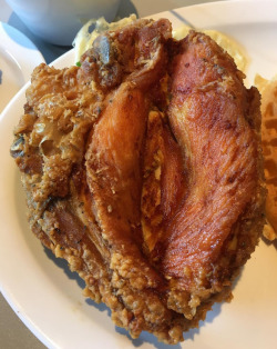 bboy-leroy: kingjaffejoffer: This chicken bress gone get an extra