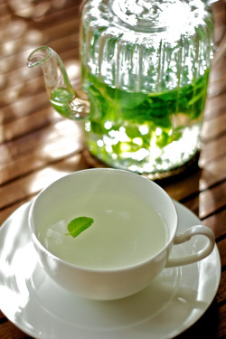 pictureperfectforyou:  mint tea (door mitayuu)