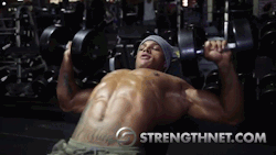 muscleobsessive:Some gifs from an awesome Strengthnet video of