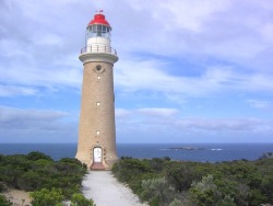 worldoflighthouses:  Cape du Couedic Lighthouse, Cape du Couedic,