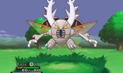 support-or-feed:  kalos-pkmnacademy:  New Mega Evolution’s