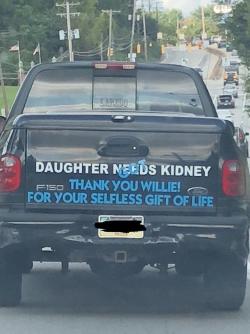 foreskindefenceleague:wholesome car mods