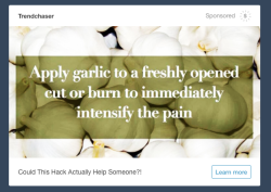 smalltalktorture:tumblr i am literally begging you to let me