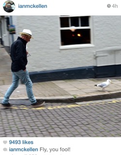 asylumharbour:  Sir Ian McKellen brings me joy on a daily basis.