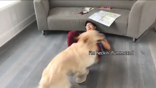 danny-avidancing:Props to whoever decided to bring back the word “flummoxed” for this video I did! What a great word, it deserves more attention lol