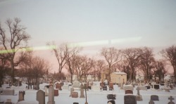 goldenprairies: pink cemetery