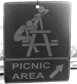 My type of picnic