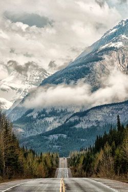 bluepueblo:  Snow Peaks, Alberta, Canada photo via bethany 