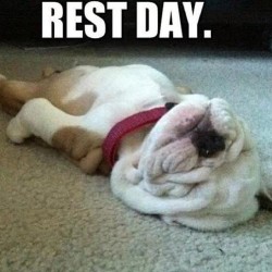 Who can relate? This is me right now. Rest days suck but are