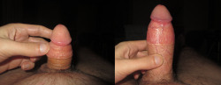 circdguy:  Whether it’s soft or hard, the circumcised cock