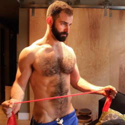 3leapfrogs:  swiss-stallion:  bearded hottie collected from the